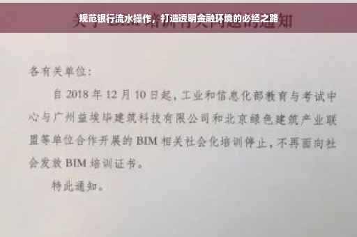 规范银行流水操作，打造透明金融环境的必经之路