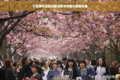 打架事件后续诊断证明书详解与模板指南