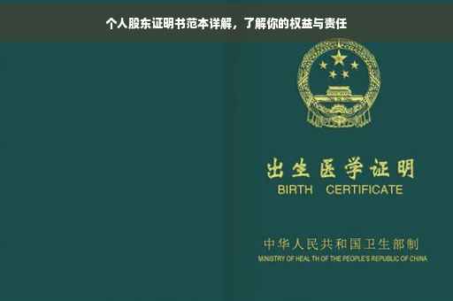 个人股东证明书范本详解，了解你的权益与责任