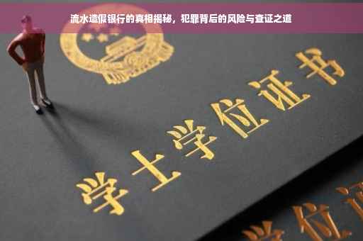 流水造假银行的真相揭秘，犯罪背后的风险与查证之道