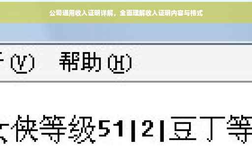 公司通用收入证明详解，全面理解收入证明内容与格式