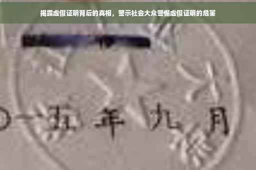 揭露虚假证明背后的真相，警示社会大众警惕虚假证明的危害