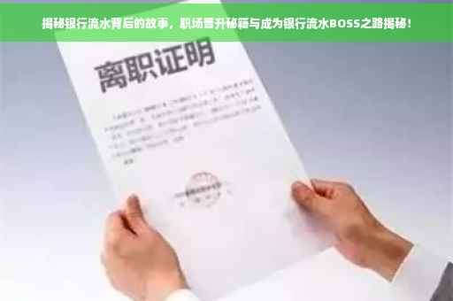 揭秘银行流水背后的故事，职场晋升秘籍与成为银行流水BOSS之路揭秘！