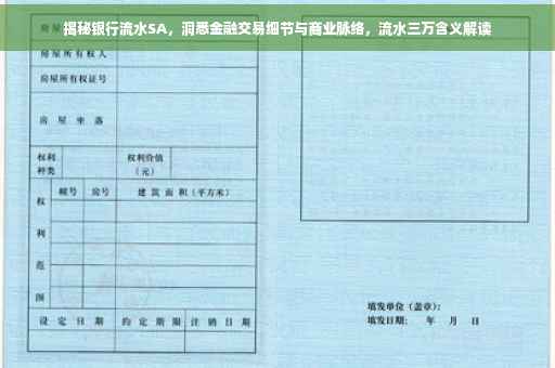 揭秘银行流水SA，洞悉金融交易细节与商业脉络，流水三万含义解读
