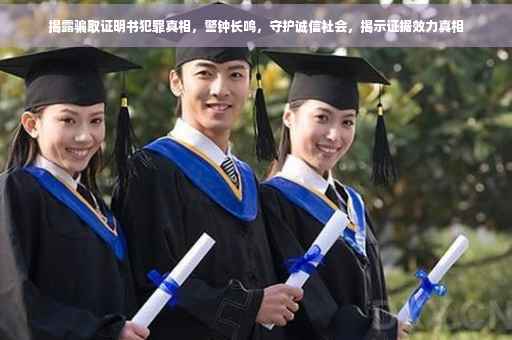 揭露骗取证明书犯罪真相，警钟长鸣，守护诚信社会，揭示证据效力真相