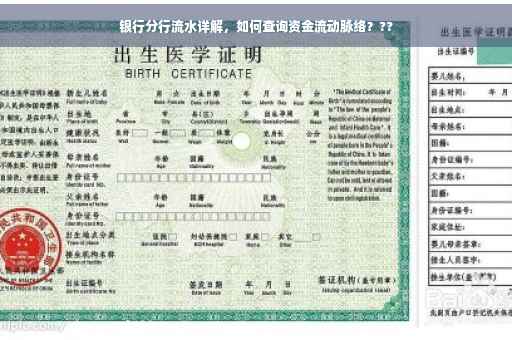 银行分行流水详解，如何查询资金流动脉络？??