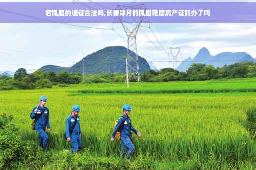 君凤凰的通证合法吗,长春净月的凤凰雅居房产证能办了吗