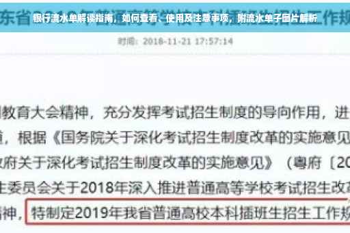 银行流水单解读指南，如何查看、使用及注意事项，附流水单子图片解析