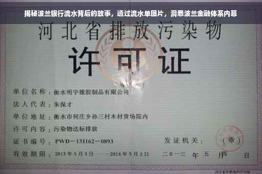 揭秘波兰银行流水背后的故事，透过流水单图片，洞悉波兰金融体系内幕
