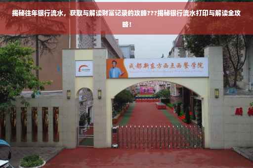 揭秘往年银行流水，获取与解读财富记录的攻略???揭秘银行流水打印与解读全攻略！