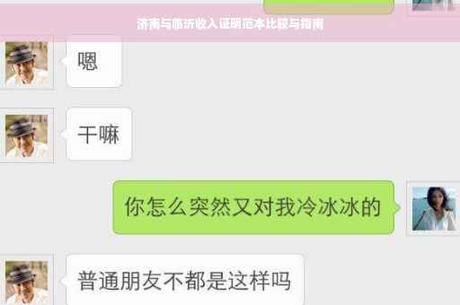 济南与临沂收入证明范本比较与指南