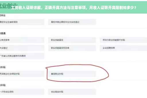工资收入证明详解，正确开具方法与注意事项，月收入证明开具限制知多少？