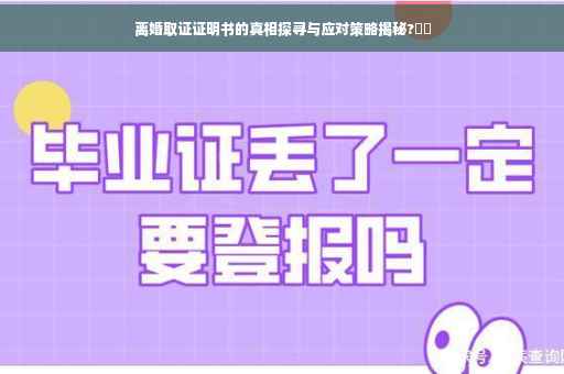 离婚取证证明书的真相探寻与应对策略揭秘?⚡️