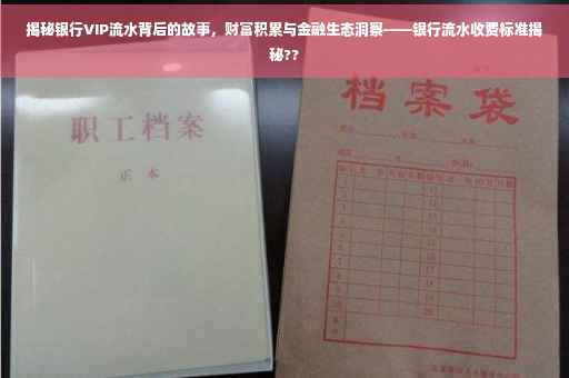 揭秘银行VIP流水背后的故事，财富积累与金融生态洞察——银行流水收费标准揭秘??