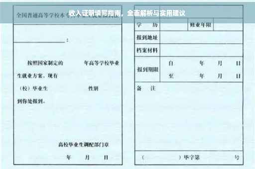 收入证明填写指南，全面解析与实用建议