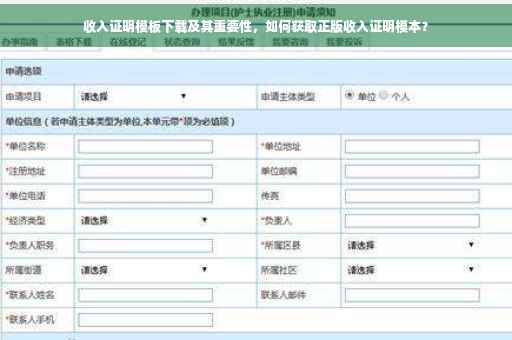 收入证明模板下载及其重要性，如何获取正版收入证明模本？
