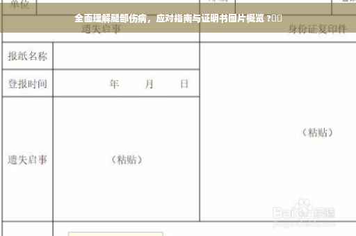 全面理解腿部伤病，应对指南与证明书图片概览 ?⚡️