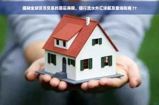 揭秘全球货币交易的幕后真相，银行流水外汇详解及查询指南 ??