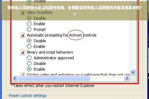 劳务收入证明附件解读与操作指南，全面解读劳务收入证明附件内容及其重要性??