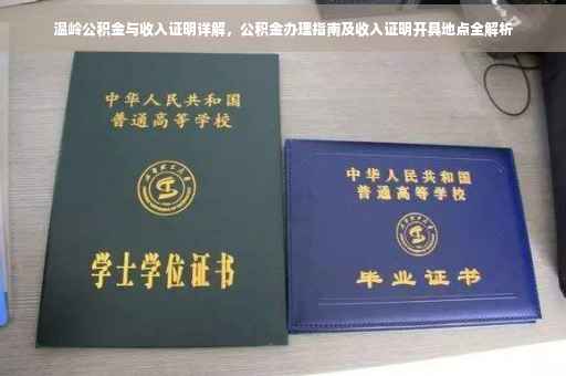 温岭公积金与收入证明详解，公积金办理指南及收入证明开具地点全解析