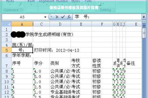 体检证明书模板及其图片指南