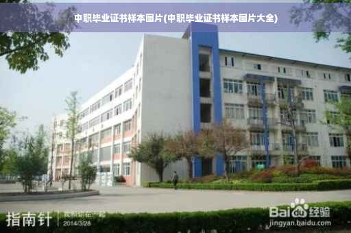 中职毕业证书样本图片(中职毕业证书样本图片大全)