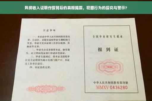购房收入证明作假背后的真相揭露，犯罪行为的探究与警示?