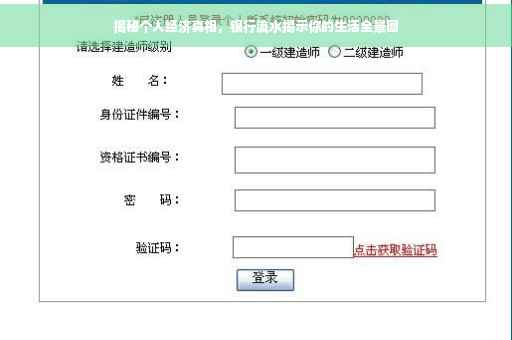 揭秘个人经济真相，银行流水揭示你的生活全景图