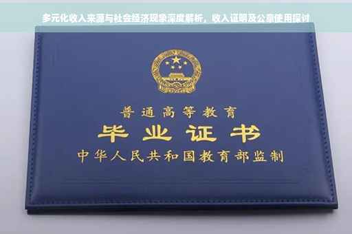 多元化收入来源与社会经济现象深度解析，收入证明及公章使用探讨