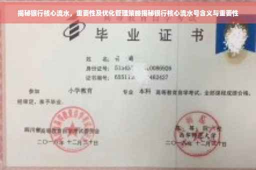 揭秘银行核心流水，重要性及优化管理策略揭秘银行核心流水号含义与重要性