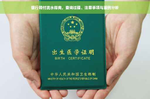 银行赔付流水指南，查询过程、注意事项与案例分析