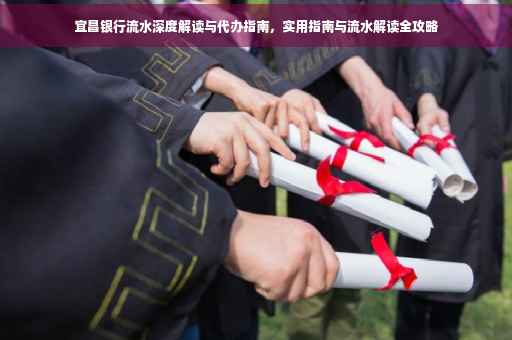 宜昌银行流水深度解读与代办指南，实用指南与流水解读全攻略