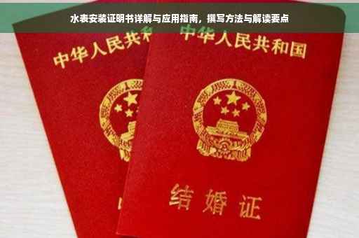 水表安装证明书详解与应用指南，撰写方法与解读要点