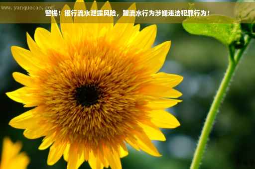 警惕！银行流水泄露风险，蹭流水行为涉嫌违法犯罪行为！