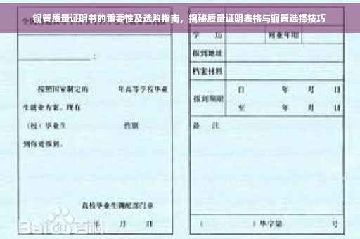 铜管质量证明书的重要性及选购指南，揭秘质量证明表格与铜管选择技巧