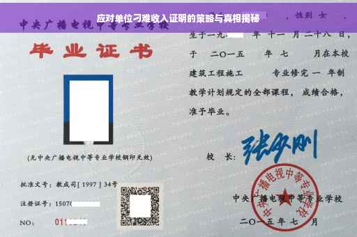 应对单位刁难收入证明的策略与真相揭秘