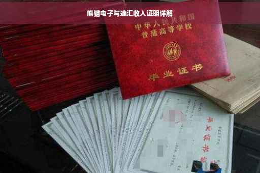 熊猫电子与速汇收入证明详解