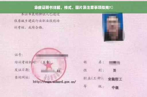 急病证明书详解，格式、图片及注意事项指南?⚡