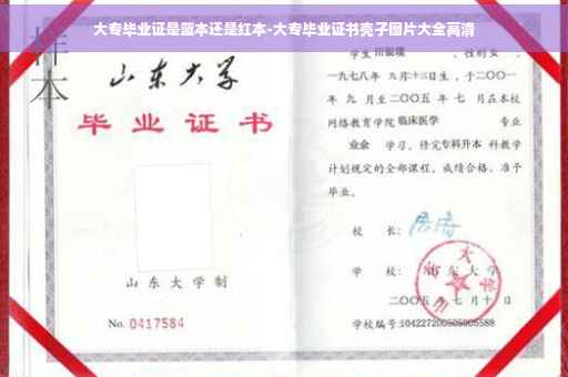 大专毕业证是蓝本还是红本-大专毕业证书壳子图片大全高清