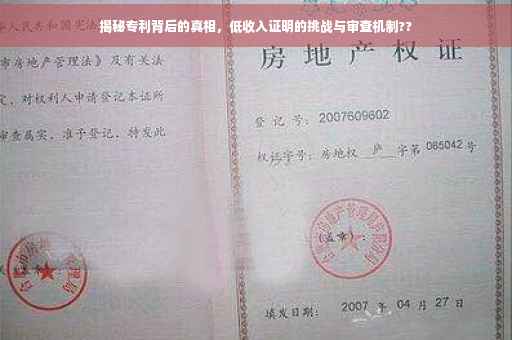 揭秘专利背后的真相，低收入证明的挑战与审查机制??