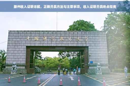 滕州收入证明详解，正确开具方法与注意事项，收入证明开具地点指南