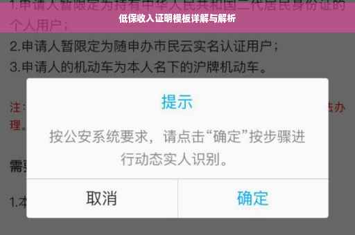 低保收入证明模板详解与解析