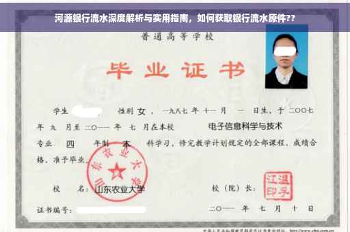 河源银行流水深度解析与实用指南，如何获取银行流水原件??