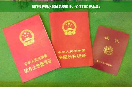 澳门银行流水揭秘犯罪面纱，如何打印流水单？