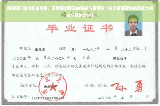 揭秘银行流水账单真相，深度解读背后的秘密与重要性（含详细解读指南及流水被冻结案例分析）