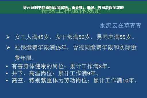身元证明书的真相深度解析，重要性、用途、办理流程全攻略