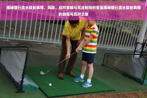 揭秘银行流水复制真相，风险、应对策略与无法粘贴的答案揭秘银行流水复制真相的真相与应对之策