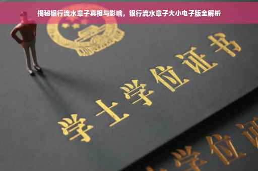 揭秘银行流水章子真相与影响，银行流水章子大小电子版全解析