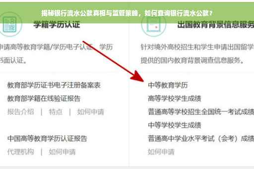 揭秘银行流水公款真相与监管策略，如何查询银行流水公款？