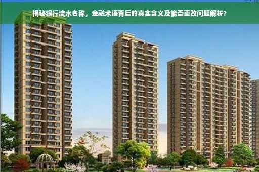 揭秘银行流水名称，金融术语背后的真实含义及能否更改问题解析?